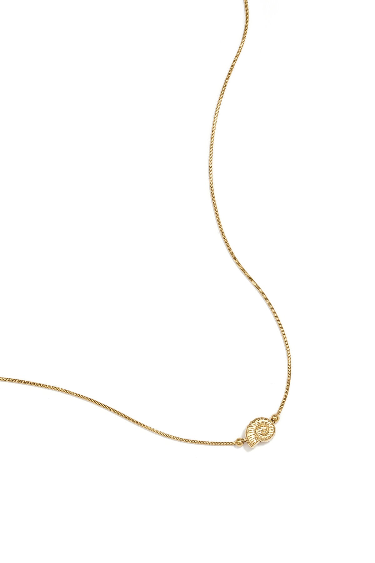 Minimalist necklace with small spiral shell